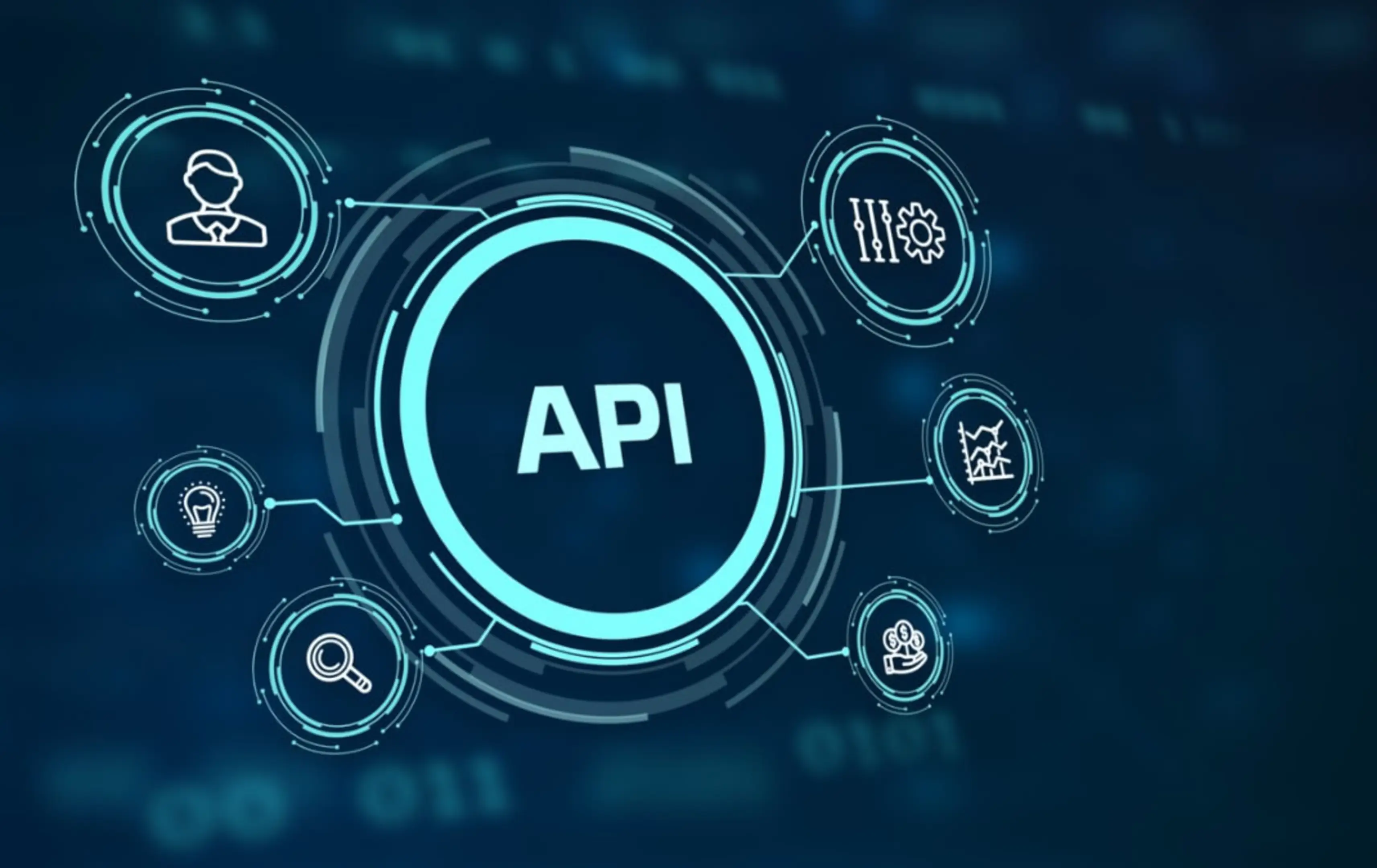 Connected software systems and application programming interfaces